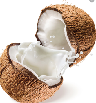Lip Balm - Coconut